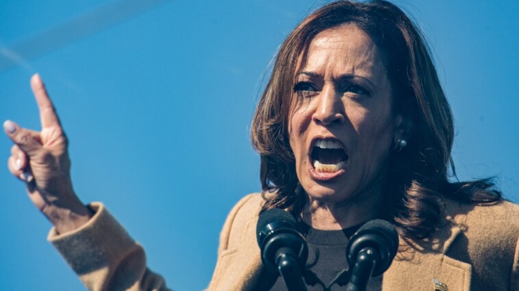 harris-pledged-to-use-taxpayer-money-to-fund-sex-change-surgeries-for-illegal-aliens-in-detention:-report