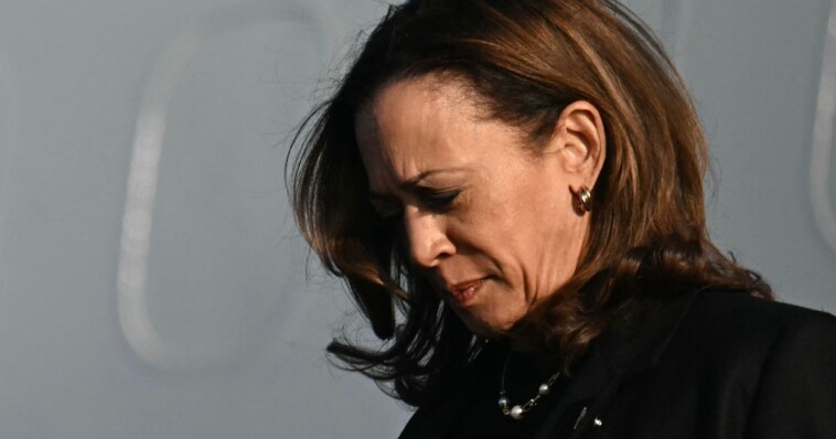 migrants-eating-pets?-kamala-harris-called-out-over-alarming-claims-as-border-crisis-rages