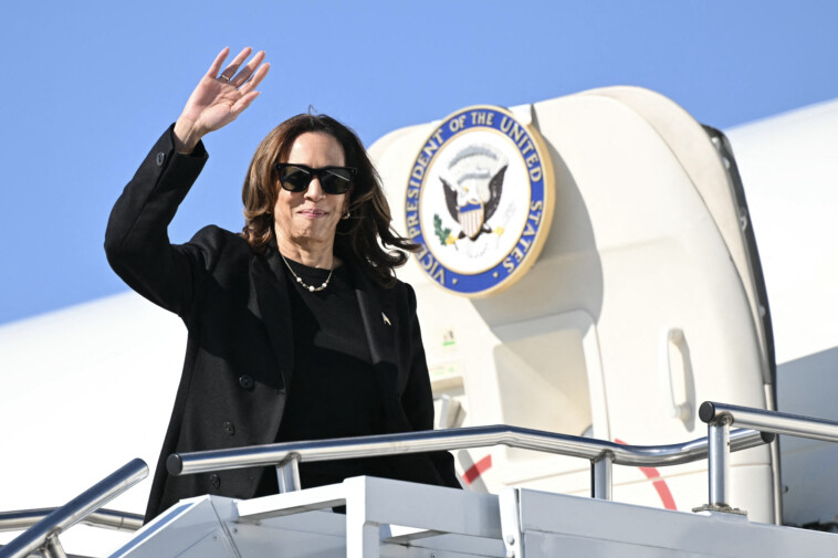 kamala-harris-told-aclu-she’d-fund-trans-surgeries-for-migrant-inmates,-decriminalize-drugs-and-end-ice-detainers-during-2020-campaign