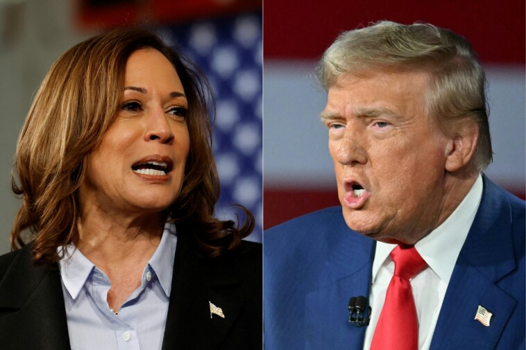 kamala-harris-missed-‘big-opportunity’-with-one-campaign-decision,-polling-expert-says-—-and-it-could-cost-her-the-election