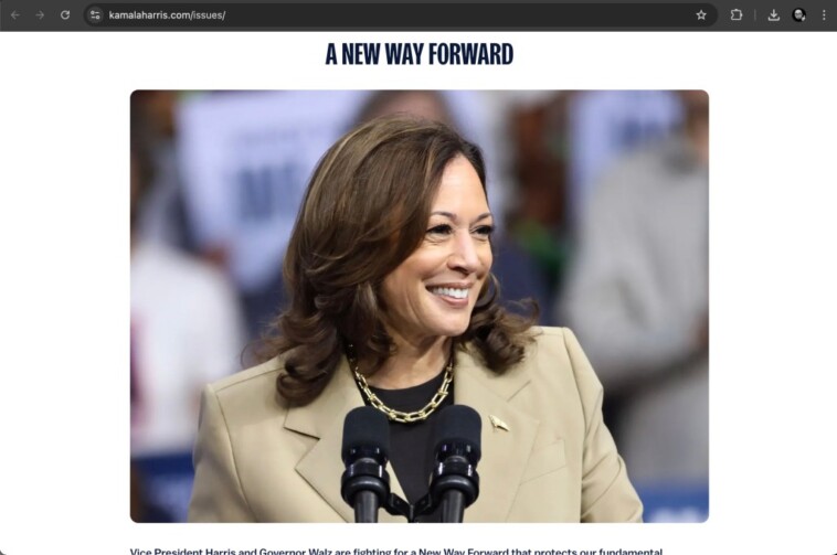 kamala-harris-vows-to-grant-amnesty-to-migrants-who-illegally-cross-border:-‘earned-pathway-to-citizenship’