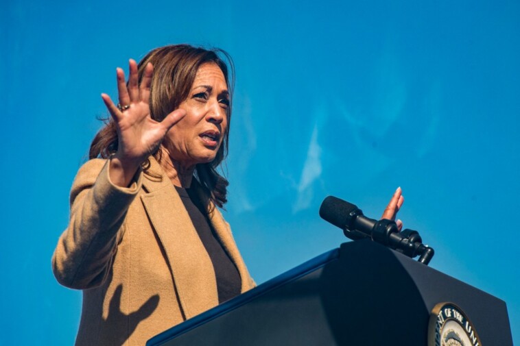 kamala-harris-finally-publishes-policy-website-after-month-into-campaign-—-and-it-still-lacks-specifics,-critics-say