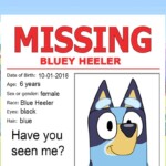 bluey-reported-missing-after-haitian-migrants-move-in-next-door