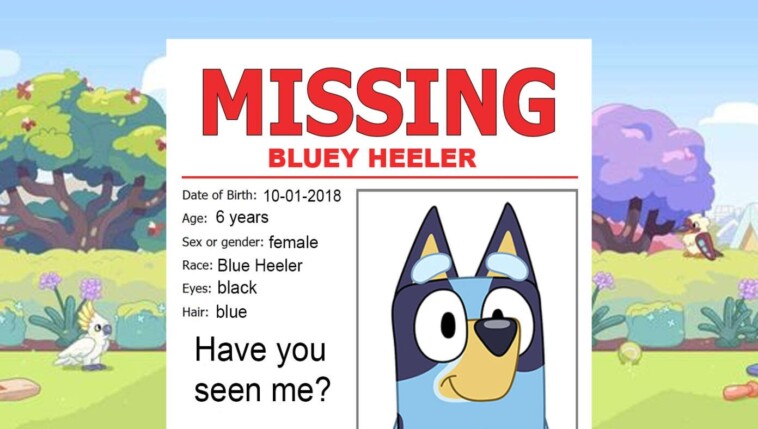 bluey-reported-missing-after-haitian-migrants-move-in-next-door