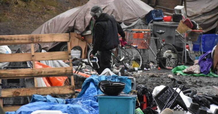 volunteers-cleaning-homeless-encampment-in-seattle-discover-nearly-80-potentially-explosive-propane-tanks