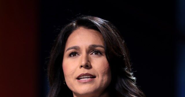 tulsi-gabbard:-‘a-vote-for-kamala-harris-is-a-vote-for-dick-cheney’