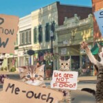 ohio-cats-take-to-the-streets-to-protest-immigration