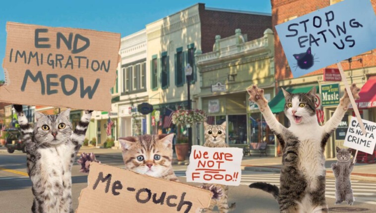 ohio-cats-take-to-the-streets-to-protest-immigration