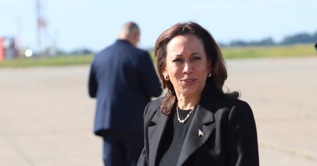 kamala-harris’-‘new-way-forward’-is-an-ongoing-push-for-the-same-old-gun-controls-biden-wanted