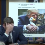 chinese-spy-lover-eric-swalwell-has-a-complete-meltdown-on-the-house-hearing-over-trump-cat-memes