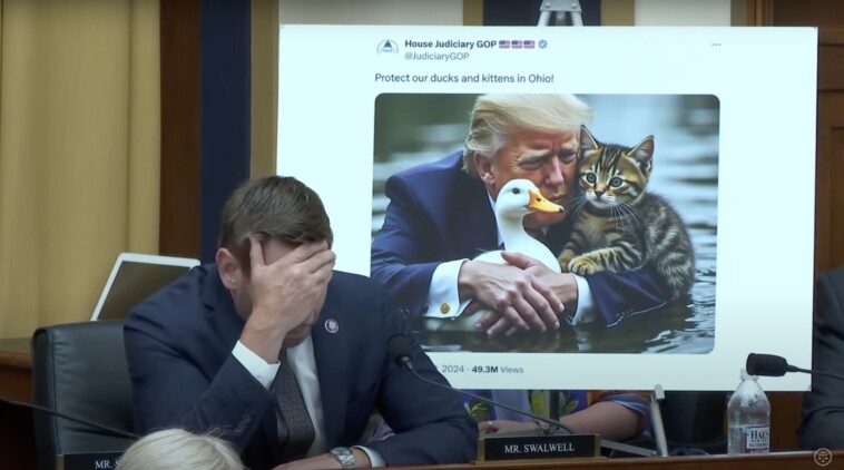 chinese-spy-lover-eric-swalwell-has-a-complete-meltdown-on-the-house-hearing-over-trump-cat-memes