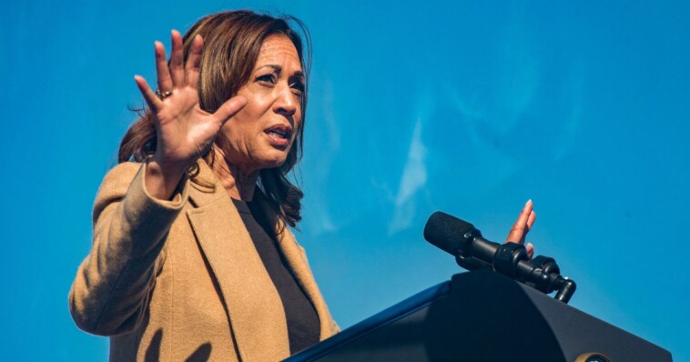 democratic-insiders-are-reportedly-freaking-out-over-kamala-harris’-debate-chances:-‘people-are-extremely-anxious’