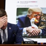 watch:-rep.-eric-swalwell-melts-down-over-ai-pics-of-trump-saving-ducks-from-migrants-after-viral-claims