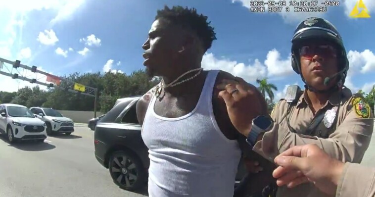 cop-involved-in-tyreek-hill-arrest-pushes-back,-fights-to-be-reinstated-as-controversy-continues