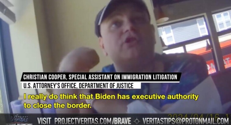 breaking:-project-veritas:-doj-immigration-attorney:-biden-has-authority-to-end-illegal-immigration,-but-democrat-megadonors-control-border-agenda-(video)