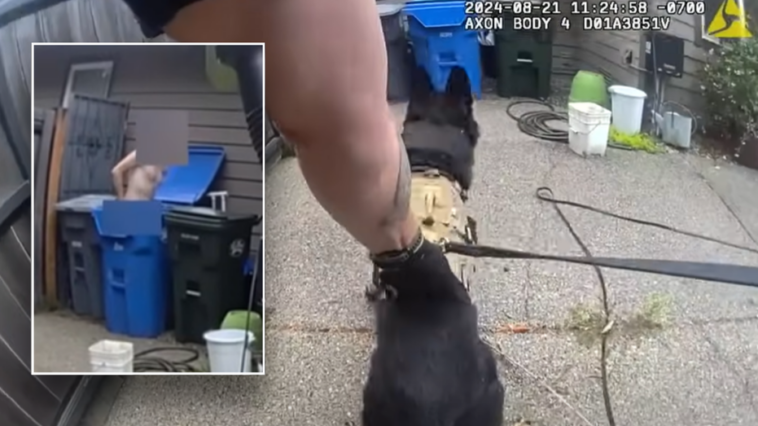 bodycam-footage-shows-k-9-ending-bizarre-pursuit-involving-naked-suspect:-‘good-boy’