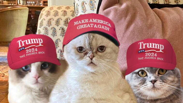 taylor-swift’s-cats-endorse-trump