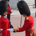 peta-gets-reality-check-after-targeting-buckingham-palace-guards’-bearskin-caps