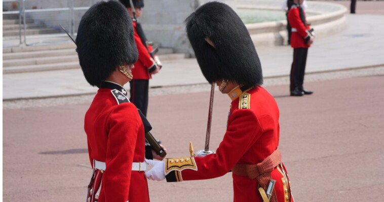 peta-gets-reality-check-after-targeting-buckingham-palace-guards’-bearskin-caps