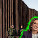 fmr-obama-ice-director:-harris-has-to-‘answer’-why-admin.-waited-‘so-long’-to-flip-on-border