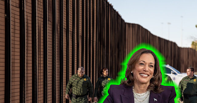 fmr-obama-ice-director:-harris-has-to-‘answer’-why-admin.-waited-‘so-long’-to-flip-on-border