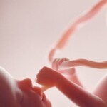 media-admit-babies-are-aborted-weeks-before-birth-because-they-are-‘unwanted’