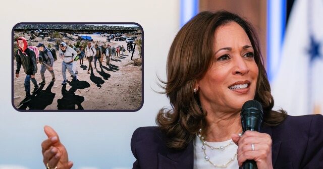 ny-times/siena-poll:-majority-of-likely-voters-blame-kamala-harris-for-record-illegal-immigration-at-southern-border