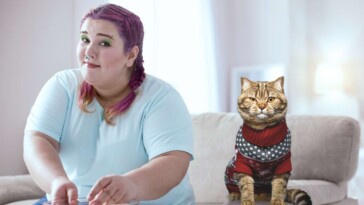 ‘a-fetus-should-not-be-treated-like-a-human,’-says-woman-with-cat-named-dave-that-wears-a-sweater