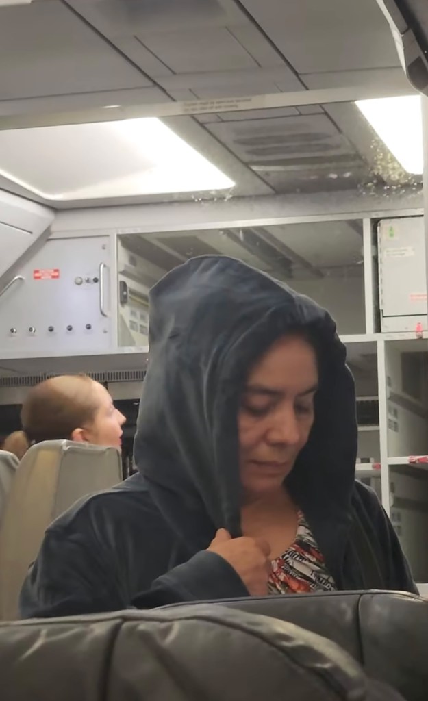 swarm-of-‘mosquitoes’-buzz-around-cabin-of-volaris-flight-before-takeoff-—-again:-video