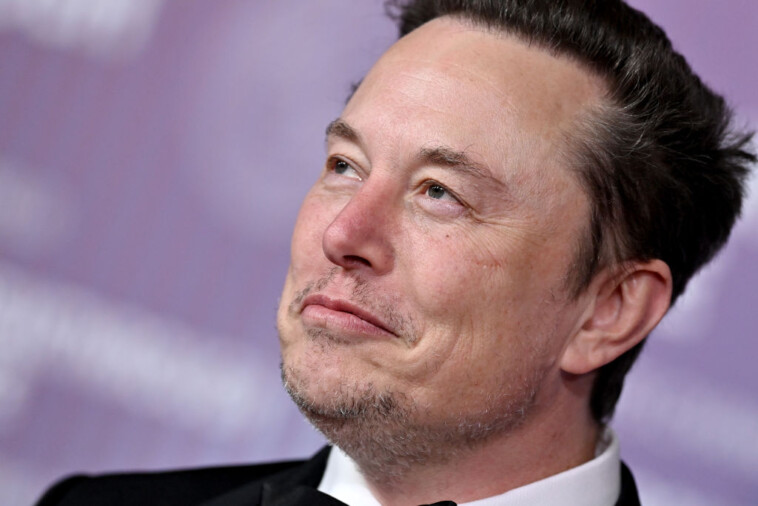 elon-musk-reacts-to-theater-pulling-‘am-i-racist?’:-‘far-left-fascists-love-censorship’