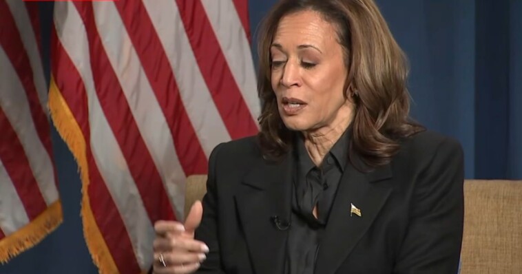 watch:-kamala-harris-tries-to-escape-question-about-economic-plan-as-latest-interview-looks-rough