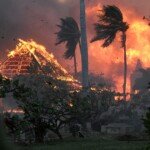 hawaii-wildfire-victims-made-it-just-blocks-before-becoming-trapped-by-flames,-report-says