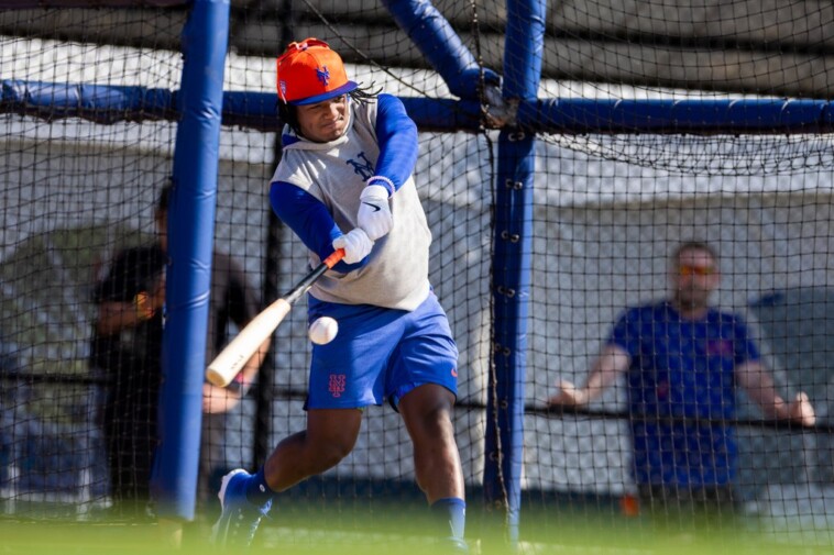 mets-calling-up-luisangel-acuna-in-depth-move-ahead-of-final-stretch