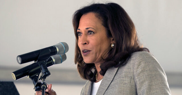 harris-spox:-harris-would-prioritize-fighting-border-gangs-differently-from-biden