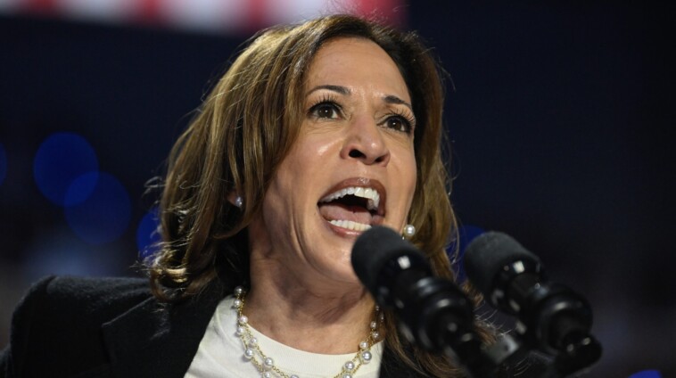 kamala-harris-claims-she-won’t-take-guns,-but-signals-she-wants-a-ban