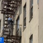 10-year-old-nyc-girl-dies-after-fall-from-window:-‘she-was-a-sweetheart’