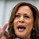 kamala-harris-offers-boilerplate-response-to-latest-trump-assassination-attempt:-‘violence-has-no-place-in-america’