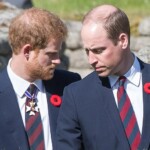 prince-william-‘disgruntled’-over-prince-harry’s-$8.5m-inheritance-payday-on-40th-birthday:-expert