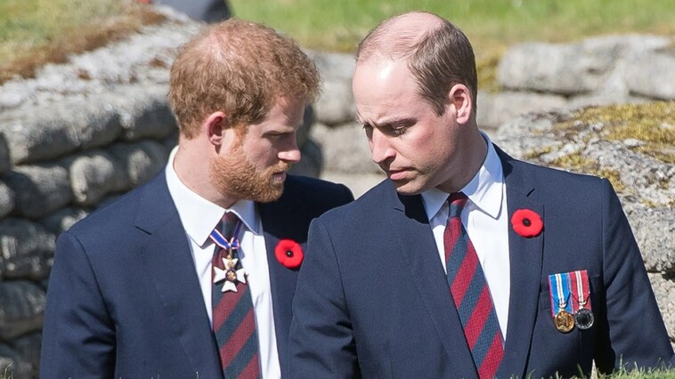 prince-william-‘disgruntled’-over-prince-harry’s-$8.5m-inheritance-payday-on-40th-birthday:-expert