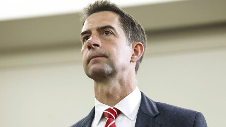 tom-cotton-blasts-kamala-harris-over-her-‘lie-about-american-troops’