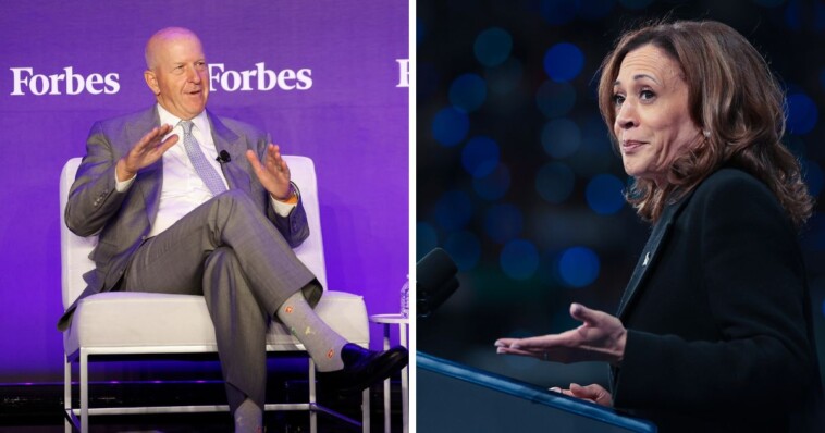 goldman-sachs-ceo-speaks-after-harris-touts-the-bank’s-analysis-of-her-economic-policy:-she’s-blowing-it-out-of-proportion