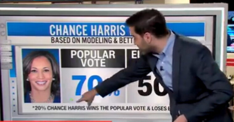 cnn-data-analyst-harry-enten:-kamala-harris-polling-in-the-‘danger-zone’-in-the-swing-states-(video)