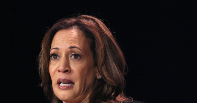 kamala-harris-blasted-for-‘demonizing-rhetoric’-after-2nd-attempt-to-kill-trump:-‘you’re-so-full-of-s**t’