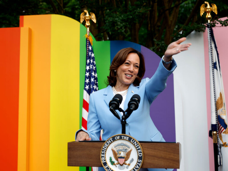 swing-state-ad-campaign-targets-kamala-over-support-for-trans-surgeries-on-kids