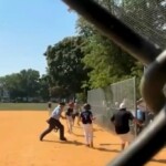 tree-crashes-down-on-little-league-dugout-during-a-game-in-new-jersey