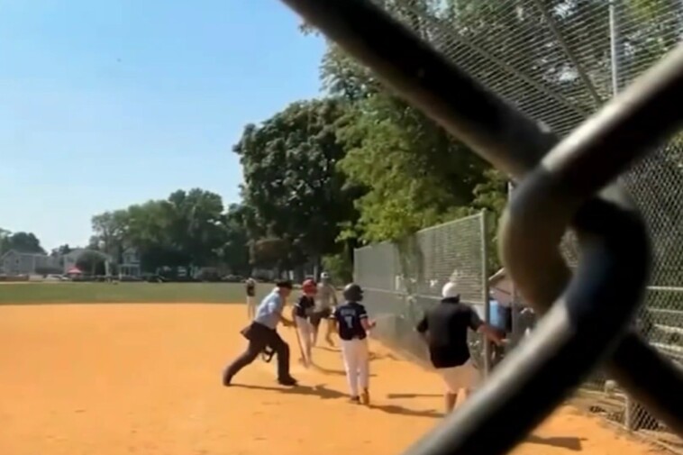 tree-crashes-down-on-little-league-dugout-during-a-game-in-new-jersey