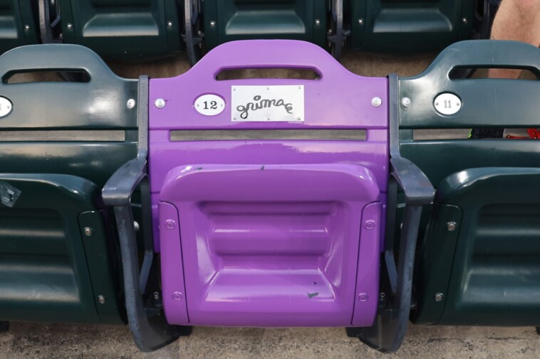 mets-unveil-purple-grimace-seat-at-citi-field-to-honor-season’s-‘phenomenon’