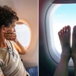 cotton-candy-burrito-stuffed-with-ice-cream-goes-viral,-plus-barefoot-passengers-could-be-removed-from-flights