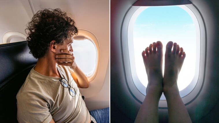 cotton-candy-burrito-stuffed-with-ice-cream-goes-viral,-plus-barefoot-passengers-could-be-removed-from-flights