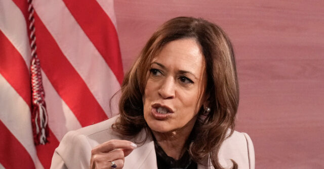 ‘groceries-still-too-high’:-kamala-harris-undermines-her-own-economic-record 